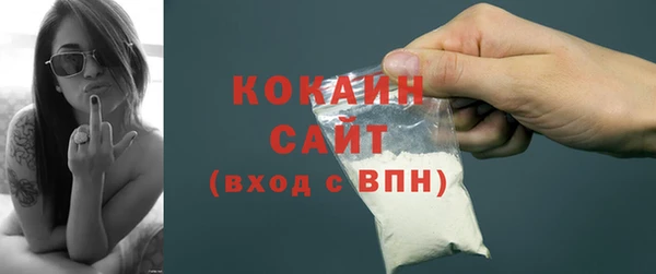 шишки Армянск