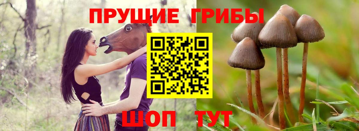 купить наркотики цена  Галлюциногенные грибы ЛСД  Вход с VPN  Белогорск 