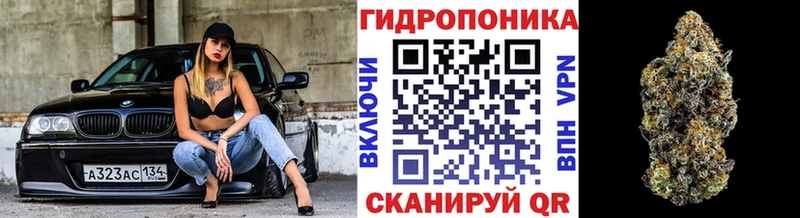 Бошки марихуана план  купить закладку  Белогорск 