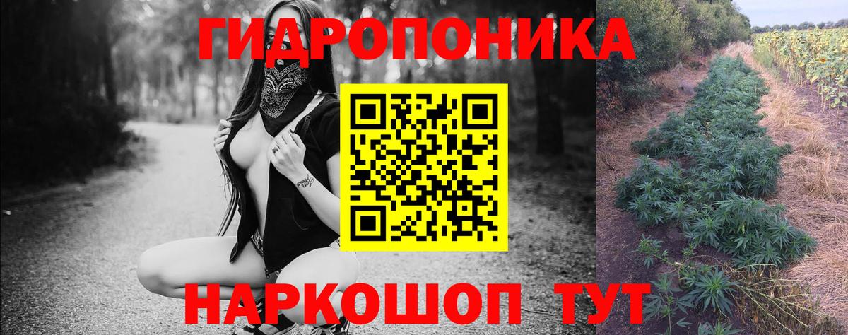 Канабис SATIVA & INDICA Белогорск